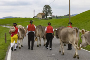 Appenzell, Appenzell Ausserrohden, Appenzeller Hinterland, Autumn, Fall, Herbst, Hundwil, Schweiz, Suisse, Switzerland, Tracht, Viehschau, tradition