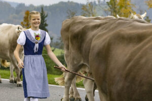 Appenzell, Appenzell Ausserrohden, Appenzeller Hinterland, Autumn, Fall, Herbst, Hundwil, Schweiz, Suisse, Switzerland, Tracht, Viehschau, tradition