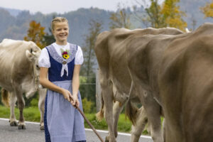 Appenzell, Appenzell Ausserrohden, Appenzeller Hinterland, Autumn, Fall, Herbst, Hundwil, Schweiz, Suisse, Switzerland, Tracht, Viehschau, tradition