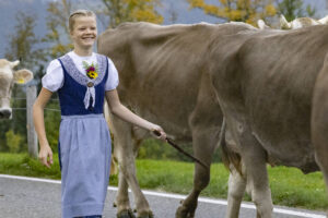 Appenzell, Appenzell Ausserrohden, Appenzeller Hinterland, Autumn, Fall, Herbst, Hundwil, Schweiz, Suisse, Switzerland, Tracht, Viehschau, tradition