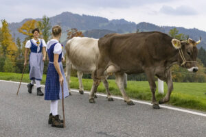 Appenzell, Appenzell Ausserrohden, Appenzeller Hinterland, Autumn, Fall, Herbst, Hundwil, Schweiz, Suisse, Switzerland, Tracht, Viehschau, tradition