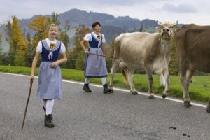 Appenzell, Appenzell Ausserrohden, Appenzeller Hinterland, Autumn, Fall, Herbst, Hundwil, Schweiz, Suisse, Switzerland, Tracht, Viehschau, tradition