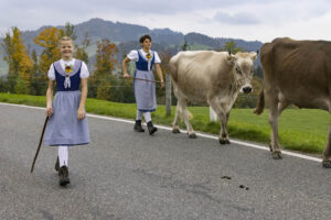 Appenzell, Appenzell Ausserrohden, Appenzeller Hinterland, Autumn, Fall, Herbst, Hundwil, Schweiz, Suisse, Switzerland, Tracht, Viehschau, tradition