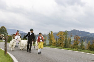 Appenzell, Appenzell Ausserrohden, Appenzeller Hinterland, Autumn, Fall, Herbst, Hundwil, Schweiz, Suisse, Switzerland, Tracht, Viehschau, tradition