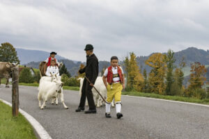 Appenzell, Appenzell Ausserrohden, Appenzeller Hinterland, Autumn, Fall, Herbst, Hundwil, Schweiz, Suisse, Switzerland, Tracht, Viehschau, tradition