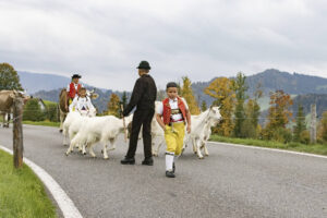 Appenzell, Appenzell Ausserrohden, Appenzeller Hinterland, Autumn, Fall, Herbst, Hundwil, Schweiz, Suisse, Switzerland, Tracht, Viehschau, tradition