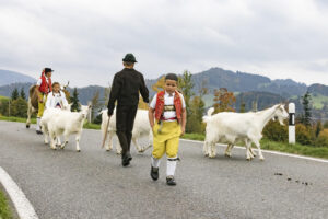 Appenzell, Appenzell Ausserrohden, Appenzeller Hinterland, Autumn, Fall, Herbst, Hundwil, Schweiz, Suisse, Switzerland, Tracht, Viehschau, tradition