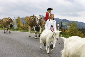 Appenzell, Appenzell Ausserrohden, Appenzeller Hinterland, Autumn, Fall, Herbst, Hundwil, Schweiz, Suisse, Switzerland, Tracht, Viehschau, tradition