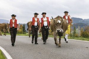 Appenzell, Appenzell Ausserrohden, Appenzeller Hinterland, Autumn, Fall, Herbst, Hundwil, Schweiz, Suisse, Switzerland, Tracht, Viehschau, tradition