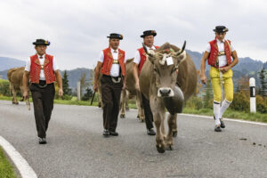 Appenzell, Appenzell Ausserrohden, Appenzeller Hinterland, Autumn, Fall, Herbst, Hundwil, Schweiz, Suisse, Switzerland, Tracht, Viehschau, tradition