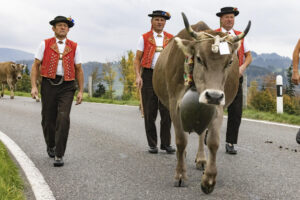 Appenzell, Appenzell Ausserrohden, Appenzeller Hinterland, Autumn, Fall, Herbst, Hundwil, Schweiz, Suisse, Switzerland, Tracht, Viehschau, tradition