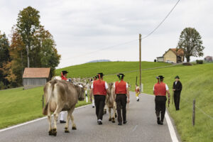 Appenzell, Appenzell Ausserrohden, Appenzeller Hinterland, Autumn, Fall, Herbst, Hundwil, Schweiz, Suisse, Switzerland, Tracht, Viehschau, tradition