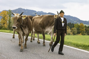 Appenzell, Appenzell Ausserrohden, Appenzeller Hinterland, Autumn, Fall, Herbst, Hundwil, Schweiz, Suisse, Switzerland, Tracht, Viehschau, tradition