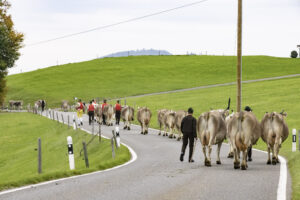 Appenzell, Appenzell Ausserrohden, Appenzeller Hinterland, Autumn, Fall, Herbst, Hundwil, Schweiz, Suisse, Switzerland, Tracht, Viehschau, tradition