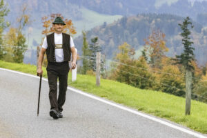 Appenzell, Appenzell Ausserrohden, Appenzeller Hinterland, Autumn, Fall, Herbst, Hundwil, Schweiz, Suisse, Switzerland, Tracht, Viehschau, tradition