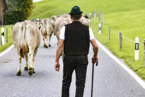 Appenzell, Appenzell Ausserrohden, Appenzeller Hinterland, Autumn, Fall, Herbst, Hundwil, Schweiz, Suisse, Switzerland, Tracht, Viehschau, tradition