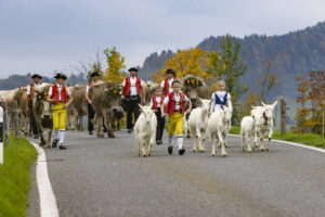 Appenzell, Appenzell Ausserrohden, Appenzeller Hinterland, Autumn, Fall, Herbst, Hundwil, Schweiz, Suisse, Switzerland, Tracht, Viehschau, tradition