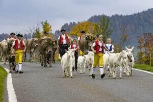 Appenzell, Appenzell Ausserrohden, Appenzeller Hinterland, Autumn, Fall, Herbst, Hundwil, Schweiz, Suisse, Switzerland, Tracht, Viehschau, tradition