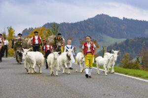 Appenzell, Appenzell Ausserrohden, Appenzeller Hinterland, Autumn, Fall, Herbst, Hundwil, Schweiz, Suisse, Switzerland, Tracht, Viehschau, tradition