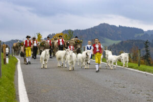 Appenzell, Appenzell Ausserrohden, Appenzeller Hinterland, Autumn, Fall, Herbst, Hundwil, Schweiz, Suisse, Switzerland, Tracht, Viehschau, tradition