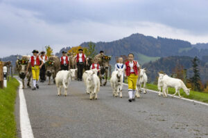 Appenzell, Appenzell Ausserrohden, Appenzeller Hinterland, Autumn, Fall, Herbst, Hundwil, Schweiz, Suisse, Switzerland, Tracht, Viehschau, tradition