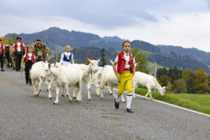 Appenzell, Appenzell Ausserrohden, Appenzeller Hinterland, Autumn, Fall, Herbst, Hundwil, Schweiz, Suisse, Switzerland, Tracht, Viehschau, tradition