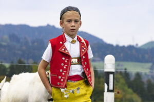 Appenzell, Appenzell Ausserrohden, Appenzeller Hinterland, Autumn, Fall, Herbst, Hundwil, Schweiz, Suisse, Switzerland, Tracht, Viehschau, tradition