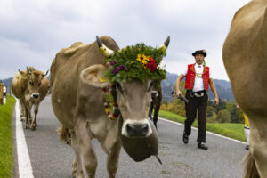 Appenzell, Appenzell Ausserrohden, Appenzeller Hinterland, Autumn, Fall, Herbst, Hundwil, Schweiz, Suisse, Switzerland, Tracht, Viehschau, tradition