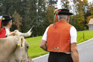 Appenzell, Appenzell Ausserrohden, Appenzeller Hinterland, Autumn, Fall, Herbst, Hundwil, Schweiz, Suisse, Switzerland, Tracht, Viehschau, tradition