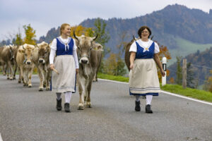 Appenzell, Appenzell Ausserrohden, Appenzeller Hinterland, Autumn, Fall, Herbst, Hundwil, Schweiz, Suisse, Switzerland, Tracht, Viehschau, tradition