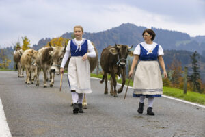 Appenzell, Appenzell Ausserrohden, Appenzeller Hinterland, Autumn, Fall, Herbst, Hundwil, Schweiz, Suisse, Switzerland, Tracht, Viehschau, tradition