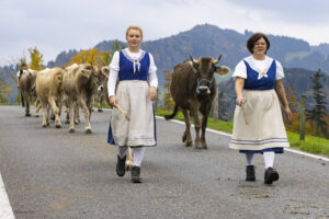 Appenzell, Appenzell Ausserrohden, Appenzeller Hinterland, Autumn, Fall, Herbst, Hundwil, Schweiz, Suisse, Switzerland, Tracht, Viehschau, tradition