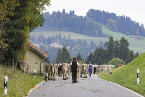 Appenzell, Appenzell Ausserrohden, Appenzeller Hinterland, Autumn, Fall, Herbst, Hundwil, Schweiz, Suisse, Switzerland, Tracht, Viehschau, tradition