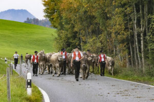 Appenzell, Appenzell Ausserrohden, Appenzeller Hinterland, Autumn, Fall, Herbst, Hundwil, Schweiz, Suisse, Switzerland, Tracht, Viehschau, tradition