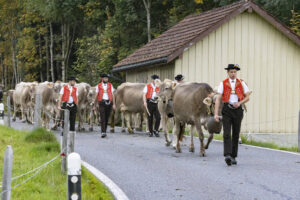 Appenzell, Appenzell Ausserrohden, Appenzeller Hinterland, Autumn, Fall, Herbst, Hundwil, Schweiz, Suisse, Switzerland, Tracht, Viehschau, tradition