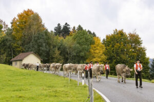 Appenzell, Appenzell Ausserrohden, Appenzeller Hinterland, Autumn, Fall, Herbst, Hundwil, Schweiz, Suisse, Switzerland, Tracht, Viehschau, tradition