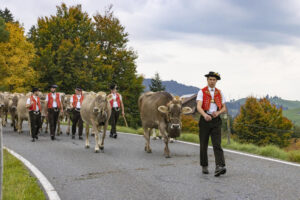 Appenzell, Appenzell Ausserrohden, Appenzeller Hinterland, Autumn, Fall, Herbst, Hundwil, Schweiz, Suisse, Switzerland, Tracht, Viehschau, tradition