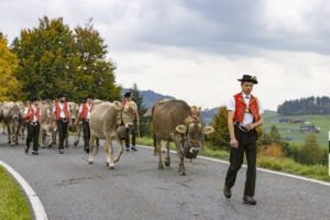 Appenzell, Appenzell Ausserrohden, Appenzeller Hinterland, Autumn, Fall, Herbst, Hundwil, Schweiz, Suisse, Switzerland, Tracht, Viehschau, tradition