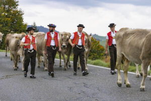 Appenzell, Appenzell Ausserrohden, Appenzeller Hinterland, Autumn, Fall, Herbst, Hundwil, Schweiz, Suisse, Switzerland, Tracht, Viehschau, tradition