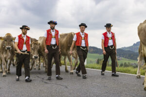 Appenzell, Appenzell Ausserrohden, Appenzeller Hinterland, Autumn, Fall, Herbst, Hundwil, Schweiz, Suisse, Switzerland, Tracht, Viehschau, tradition