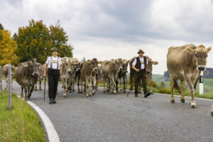 Appenzell, Appenzell Ausserrohden, Appenzeller Hinterland, Autumn, Fall, Herbst, Hundwil, Schweiz, Suisse, Switzerland, Tracht, Viehschau, tradition