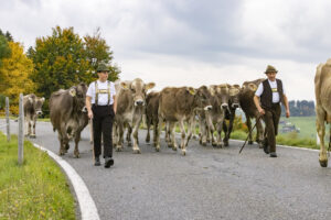 Appenzell, Appenzell Ausserrohden, Appenzeller Hinterland, Autumn, Fall, Herbst, Hundwil, Schweiz, Suisse, Switzerland, Tracht, Viehschau, tradition