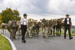 Appenzell, Appenzell Ausserrohden, Appenzeller Hinterland, Autumn, Fall, Herbst, Hundwil, Schweiz, Suisse, Switzerland, Tracht, Viehschau, tradition