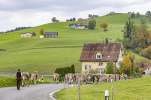 Appenzell, Appenzell Ausserrohden, Appenzeller Hinterland, Autumn, Fall, Herbst, Hundwil, Schweiz, Suisse, Switzerland, Tracht, Viehschau, tradition