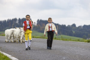 Appenzell, Appenzell Ausserrohden, Appenzeller Hinterland, Autumn, Fall, Herbst, Hundwil, Schweiz, Suisse, Switzerland, Tracht, Viehschau, tradition