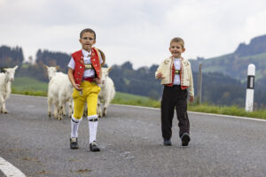 Appenzell, Appenzell Ausserrohden, Appenzeller Hinterland, Autumn, Fall, Herbst, Hundwil, Schweiz, Suisse, Switzerland, Tracht, Viehschau, tradition