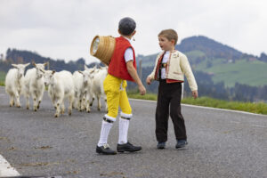 Appenzell, Appenzell Ausserrohden, Appenzeller Hinterland, Autumn, Fall, Herbst, Hundwil, Schweiz, Suisse, Switzerland, Tracht, Viehschau, tradition