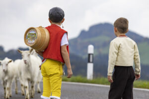 Appenzell, Appenzell Ausserrohden, Appenzeller Hinterland, Autumn, Fall, Herbst, Hundwil, Schweiz, Suisse, Switzerland, Tracht, Viehschau, tradition