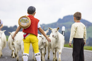 Appenzell, Appenzell Ausserrohden, Appenzeller Hinterland, Autumn, Fall, Herbst, Hundwil, Schweiz, Suisse, Switzerland, Tracht, Viehschau, tradition