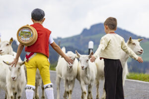 Appenzell, Appenzell Ausserrohden, Appenzeller Hinterland, Autumn, Fall, Herbst, Hundwil, Schweiz, Suisse, Switzerland, Tracht, Viehschau, tradition